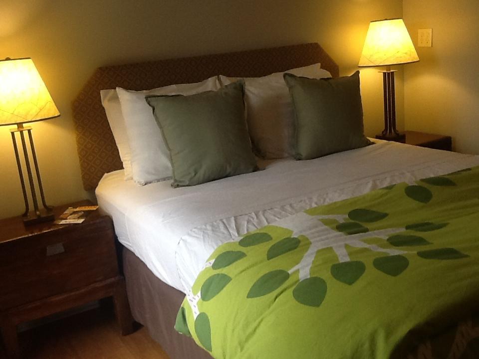 Zenyard Guest House Phoenix Oda fotoğraf